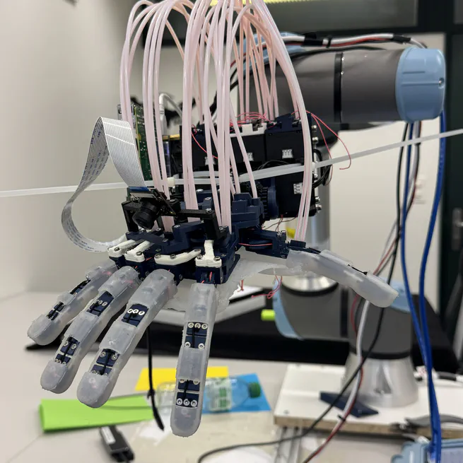 Impact of Muscle Fatigue on Neural Network based EMG decoder for Hand Prosthesis
